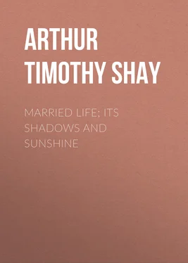 Timothy Arthur Married Life; Its Shadows and Sunshine обложка книги