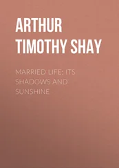 Timothy Arthur - Married Life; Its Shadows and Sunshine