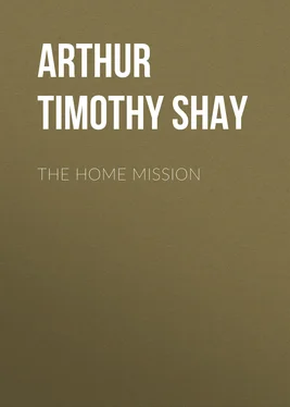 Timothy Arthur The Home Mission обложка книги