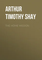 Timothy Arthur - The Home Mission