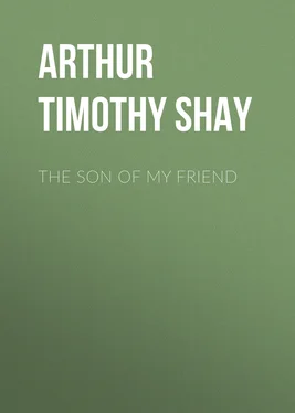 Timothy Arthur The Son of My Friend обложка книги
