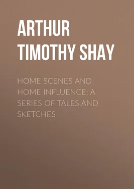 Timothy Arthur Home Scenes and Home Influence; a series of tales and sketches обложка книги