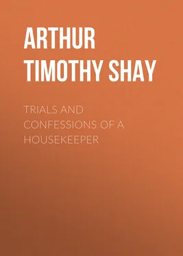 Timothy Arthur Trials and Confessions of a Housekeeper обложка книги
