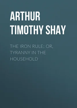 Timothy Arthur The Iron Rule; Or, Tyranny in the Household обложка книги