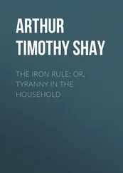 Timothy Arthur - The Iron Rule; Or, Tyranny in the Household