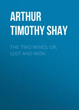 Timothy Arthur The Two Wives; Or, Lost and Won обложка книги