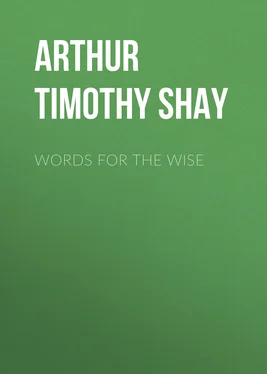 Timothy Arthur Words for the Wise обложка книги