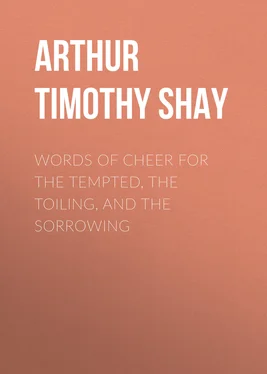 Timothy Arthur Words of Cheer for the Tempted, the Toiling, and the Sorrowing обложка книги