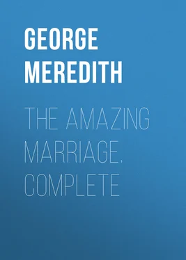 George Meredith The Amazing Marriage. Complete обложка книги