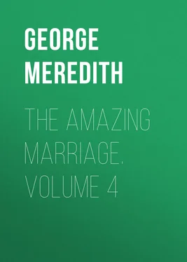 George Meredith The Amazing Marriage. Volume 4 обложка книги
