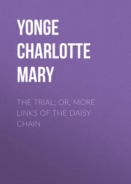Charlotte Yonge The Trial; Or, More Links of the Daisy Chain обложка книги