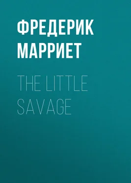 Фредерик Марриет The Little Savage обложка книги