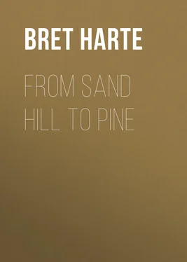 Bret Harte From Sand Hill to Pine обложка книги