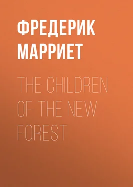 Фредерик Марриет The Children of the New Forest обложка книги