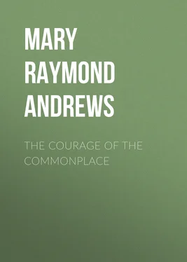 Mary Raymond Shipman Andrews The Courage of the Commonplace обложка книги