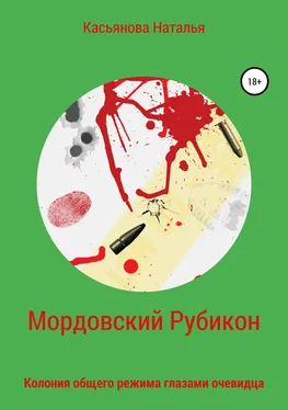 Наталья Касьянова Мордовский рубикон обложка книги