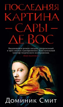 Доминик Смит Последняя картина Сары де Вос обложка книги