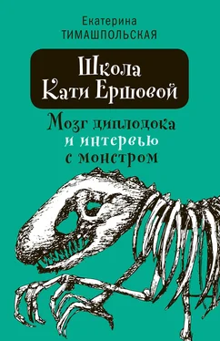 Екатерина Тимашпольская Школа Кати Ершовой. Мозг диплодока и интервью с монстром обложка книги