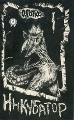 Олег Готко - Инкубатор. Книга I