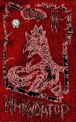 Олег Готко - Инкубатор. Книга II