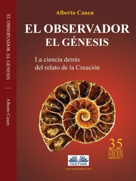 Alberto Canen El Observador. El Genesis обложка книги