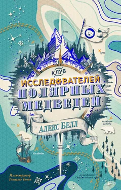 Алекс Белл Клуб исследователей полярных медведей обложка книги