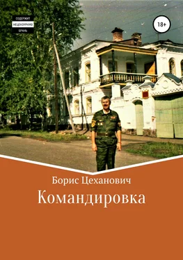Борис Цеханович Командировка обложка книги