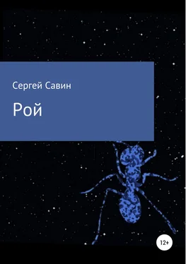 Сергей Савин Рой обложка книги
