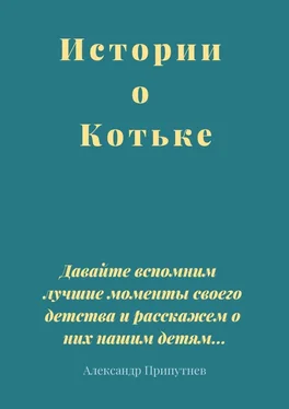 Александр Припутнев Истории о Котьке обложка книги