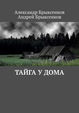 Александр Брыксенков Тайга у дома обложка книги