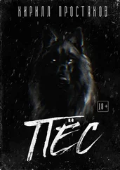 Кирилл Простяков - ПЁС