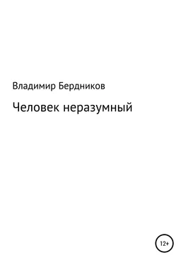 Владимир Бердников Человек неразумный обложка книги