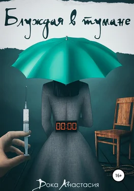 Анастасия Дока Блуждая в тумане обложка книги