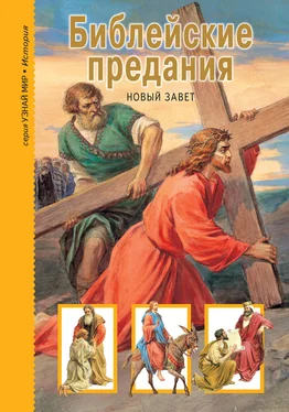 Григорий Крылов Библейские предания. Новый Завет обложка книги