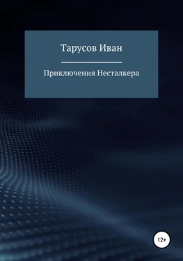 Иван Тарусов Приключения Несталкера обложка книги