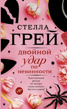 Стелла Грей Двойной удар по невинности обложка книги