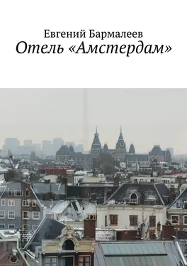 Евгений Бармалеев Отель «Амстердам» обложка книги