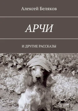 Алексей Беляков Арчи. И ДРУГИЕ РАССКАЗЫ обложка книги