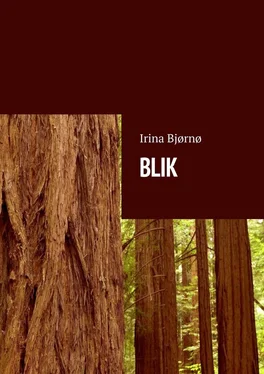Irina Bjørnø BLIK обложка книги