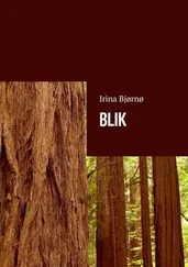 Irina Bjørnø - BLIK