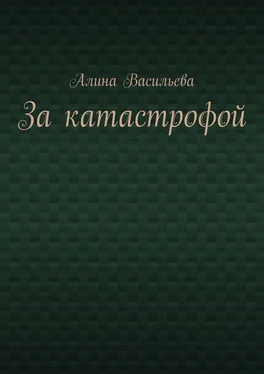 Алина Васильева За катастрофой обложка книги