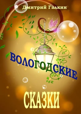 Дмитрий Галкин Вологодские сказки обложка книги