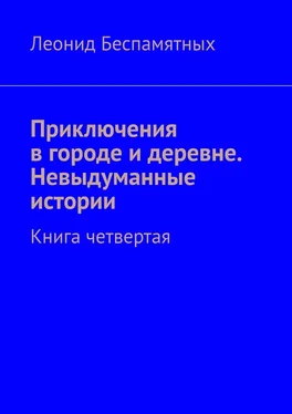 Леонид Беспамятных Приключения в городе и деревне. Невыдуманные истории. Книга четвертая обложка книги