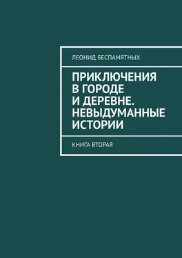 Леонид Беспамятных Приключения в городе и деревне. Невыдуманные истории. Книга вторая обложка книги