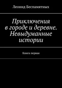 Леонид Беспамятных Приключения в городе и деревне. Невыдуманные истории. Книга первая обложка книги