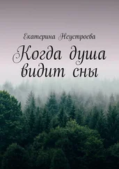 Екатерина Неустроева - Когда душа видит сны
