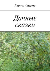 Лариса Фидлер - Дачные сказки