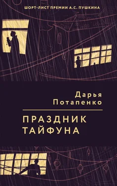 Дарья Потапенко Праздник тайфуна обложка книги