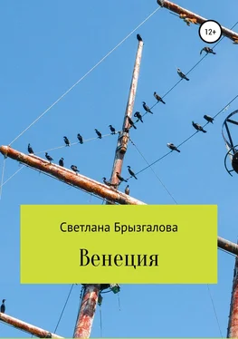 Svetlana Bryzgalova Венеция обложка книги