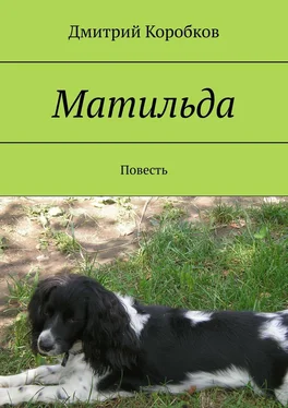 Дмитрий Коробков Матильда. Повесть обложка книги